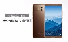 华为Mate 10真机拆解：做工对得起价格？