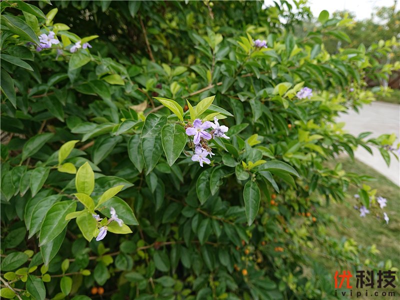 脱胎换骨般的升级 索尼Xperia XZ3全面评测