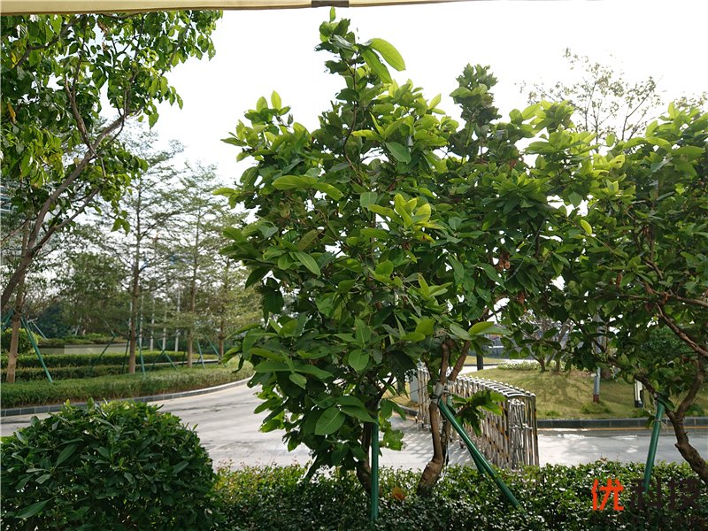 脱胎换骨般的升级 索尼Xperia XZ3全面评测