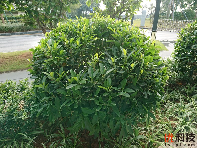 脱胎换骨般的升级 索尼Xperia XZ3全面评测