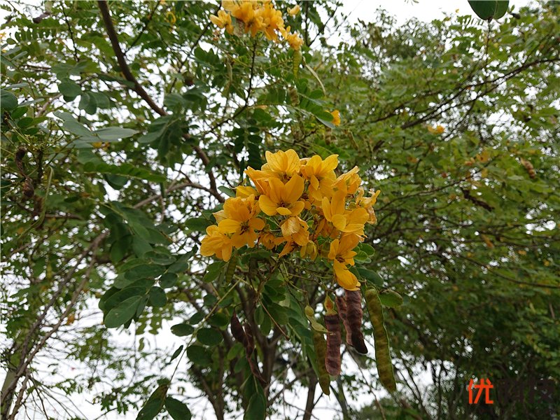 脱胎换骨般的升级 索尼Xperia XZ3全面评测