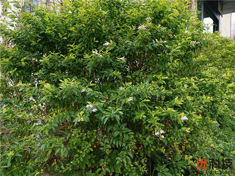 脱胎换骨般的升级 索尼Xperia XZ3全面评测