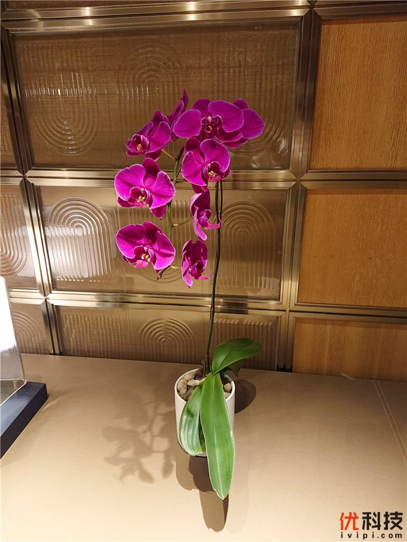 脱胎换骨般的升级 索尼Xperia XZ3全面评测