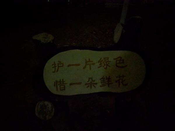 谷歌相机夜景模式移植测试：3年老机器变身夜视仪