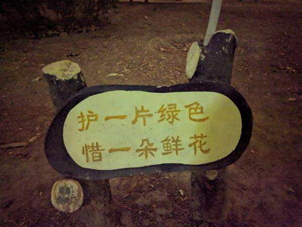 谷歌相机夜景模式移植测试：3年老机器变身夜视仪