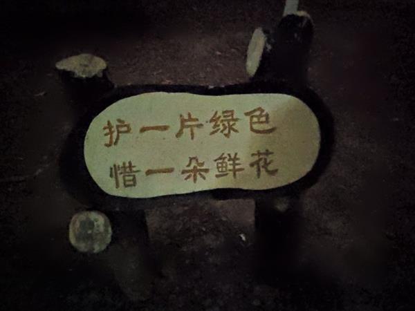 谷歌相机夜景模式移植测试：3年老机器变身夜视仪