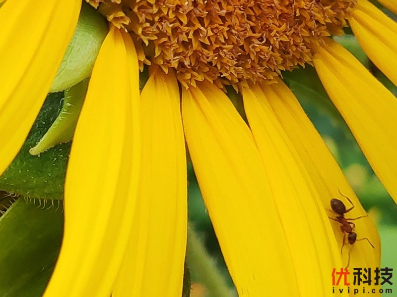 骁龙855Plus+12G性能王者 黑鲨游戏手机2 Pro评测