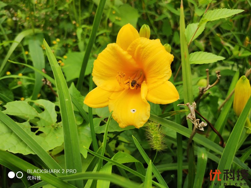 骁龙855Plus+12G性能王者 黑鲨游戏手机2 Pro评测