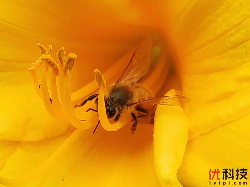 骁龙855Plus+12G性能王者 黑鲨游戏手机2 Pro评测