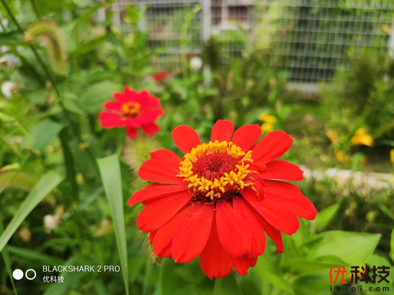 骁龙855Plus+12G性能王者 黑鲨游戏手机2 Pro评测