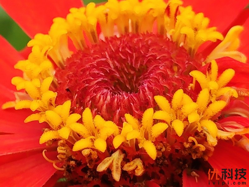 骁龙855Plus+12G性能王者 黑鲨游戏手机2 Pro评测