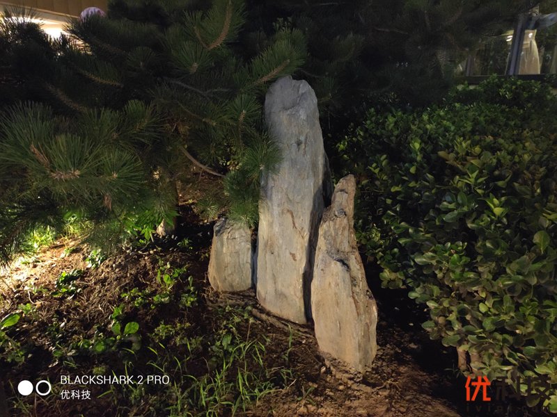 骁龙855Plus+12G性能王者 黑鲨游戏手机2 Pro评测