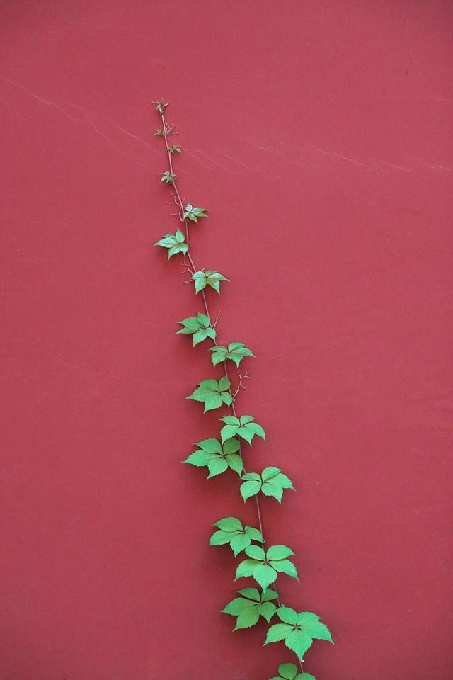 索尼黑卡RX100 VII评测：口袋里的旗舰相机