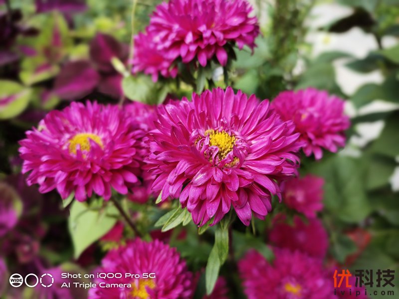 离你最近的5G手机 iQOO Pro 5G版评测