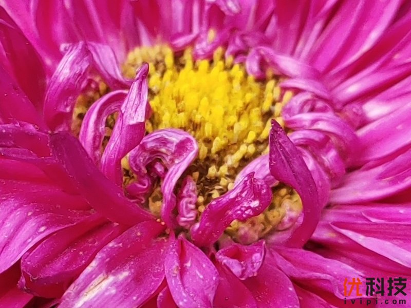 离你最近的5G手机 iQOO Pro 5G版评测