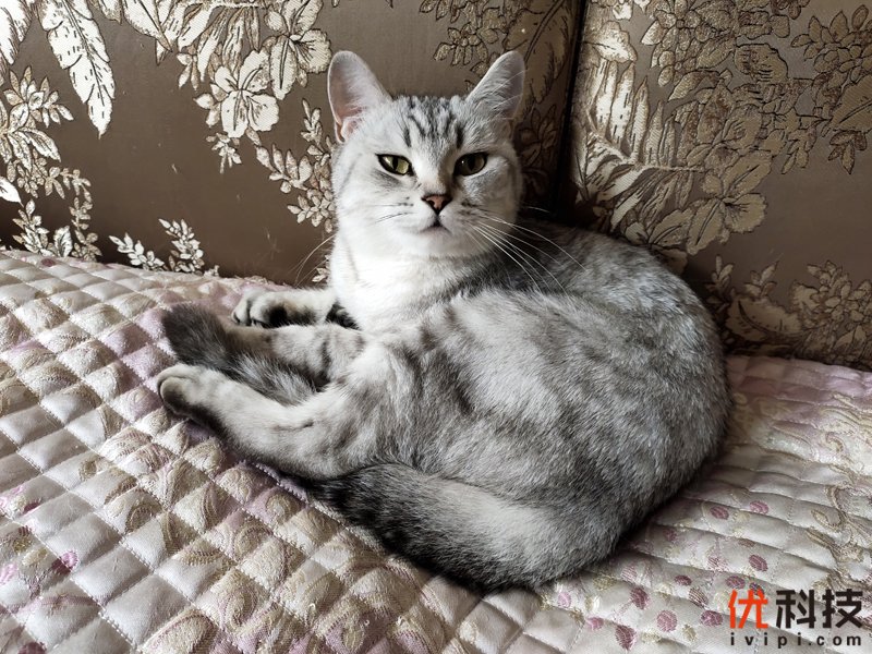 离你最近的5G手机 iQOO Pro 5G版评测