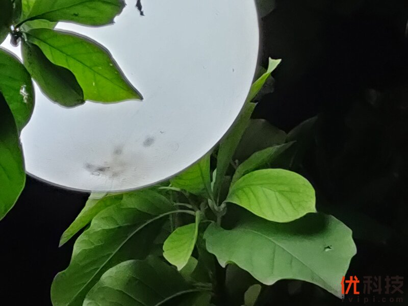 性价比无敌的顶级旗舰机 realme X2 Pro评测