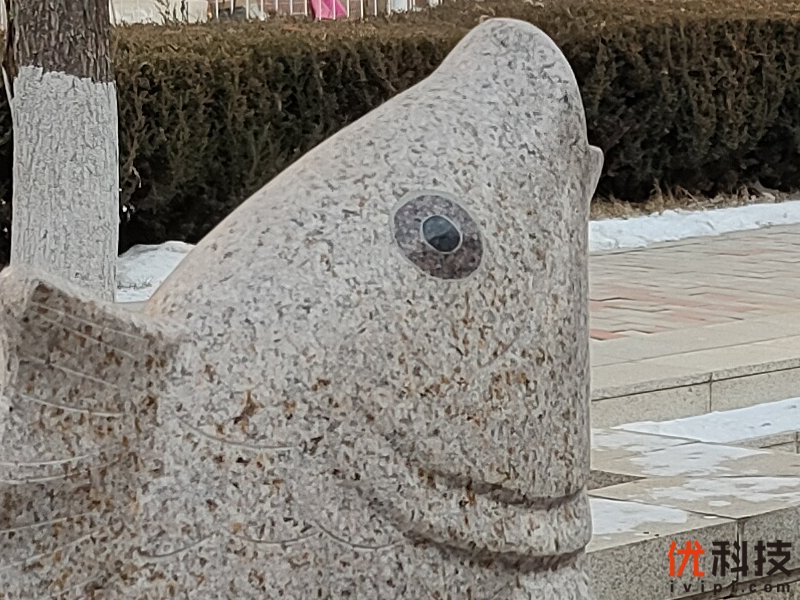 真香级5G青年旗舰 realme 真我 X50 5G评测