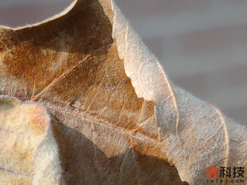 真香级5G青年旗舰 realme 真我 X50 5G评测