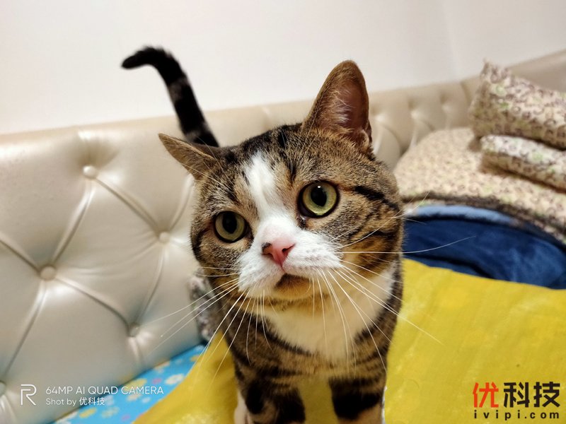 真香级5G青年旗舰 realme 真我 X50 5G评测