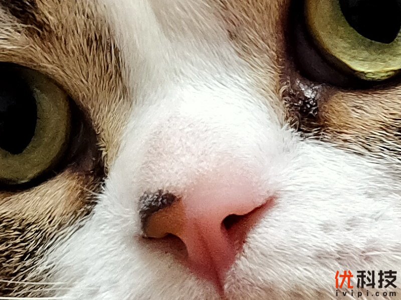 真香级5G青年旗舰 realme 真我 X50 5G评测