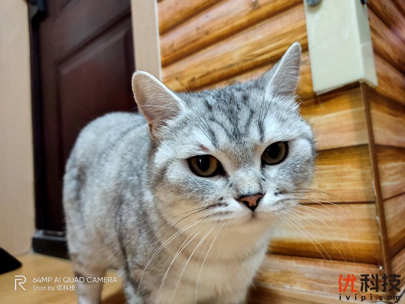 真香级5G青年旗舰 realme 真我 X50 5G评测