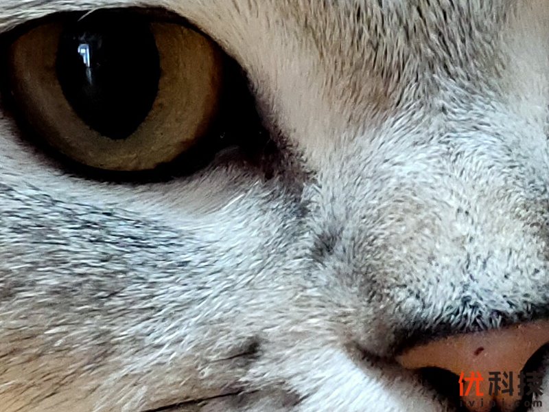 真香级5G青年旗舰 realme 真我 X50 5G评测