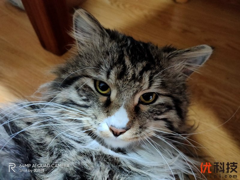 真香级5G青年旗舰 realme 真我 X50 5G评测