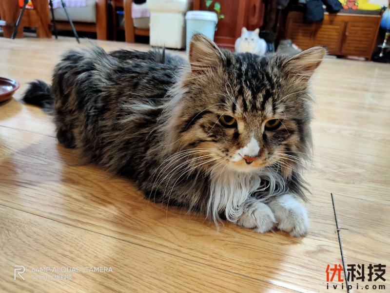 真香级5G青年旗舰 realme 真我 X50 5G评测