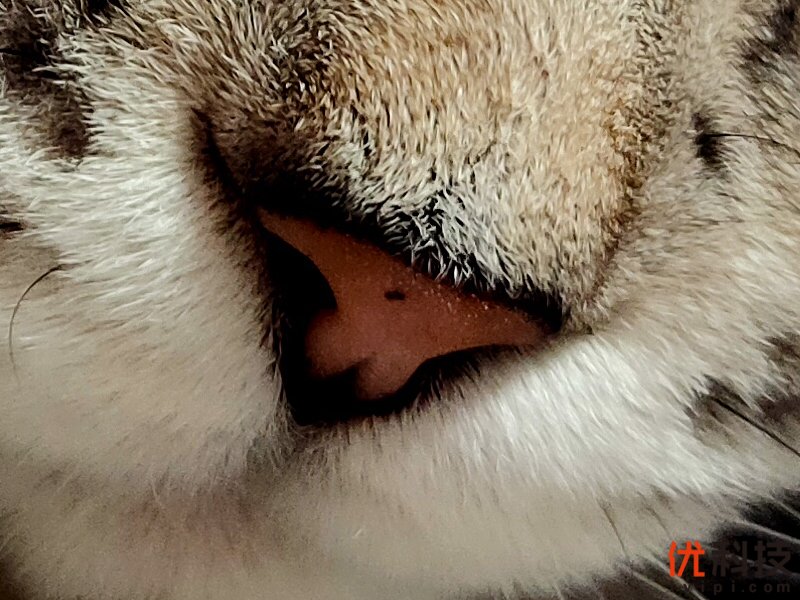 真香级5G青年旗舰 realme 真我 X50 5G评测