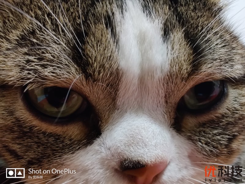 不仅是颜值巅峰，更是性能旗舰 一加7T Pro评测