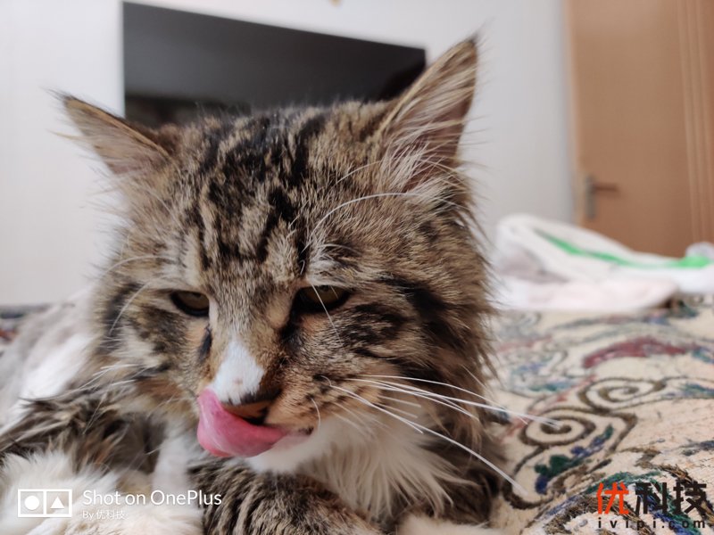 不仅是颜值巅峰，更是性能旗舰 一加7T Pro评测