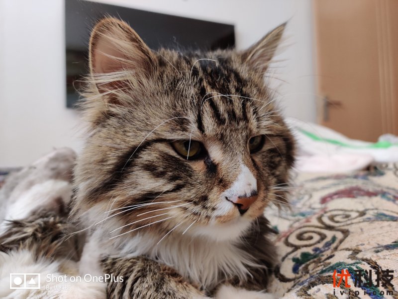 不仅是颜值巅峰，更是性能旗舰 一加7T Pro评测