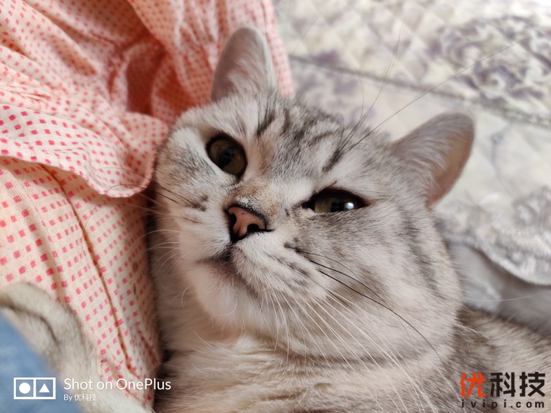 不仅是颜值巅峰，更是性能旗舰 一加7T Pro评测