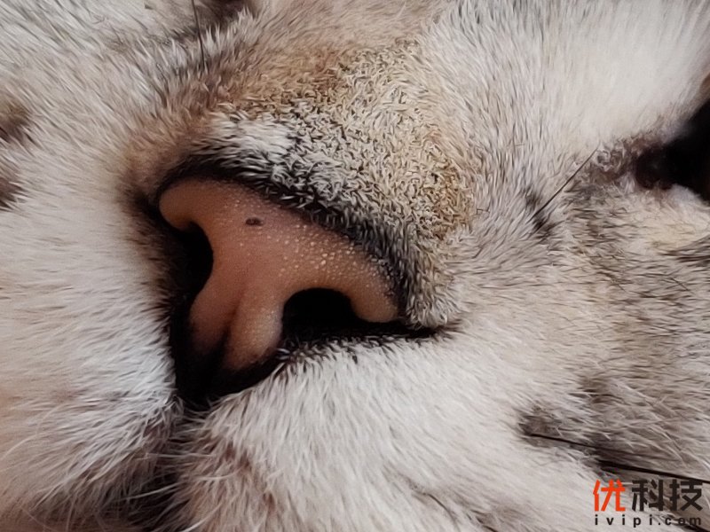 不仅是颜值巅峰，更是性能旗舰 一加7T Pro评测