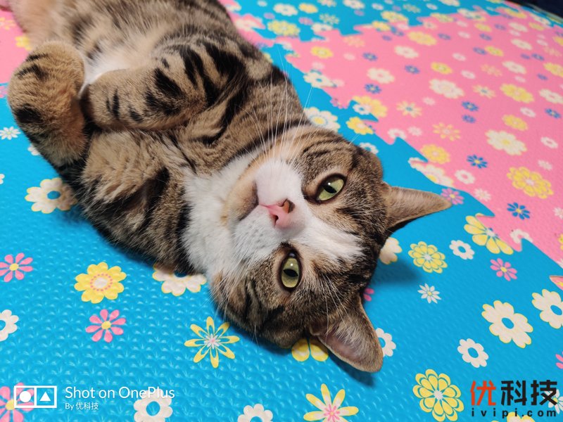 不仅是颜值巅峰，更是性能旗舰 一加7T Pro评测