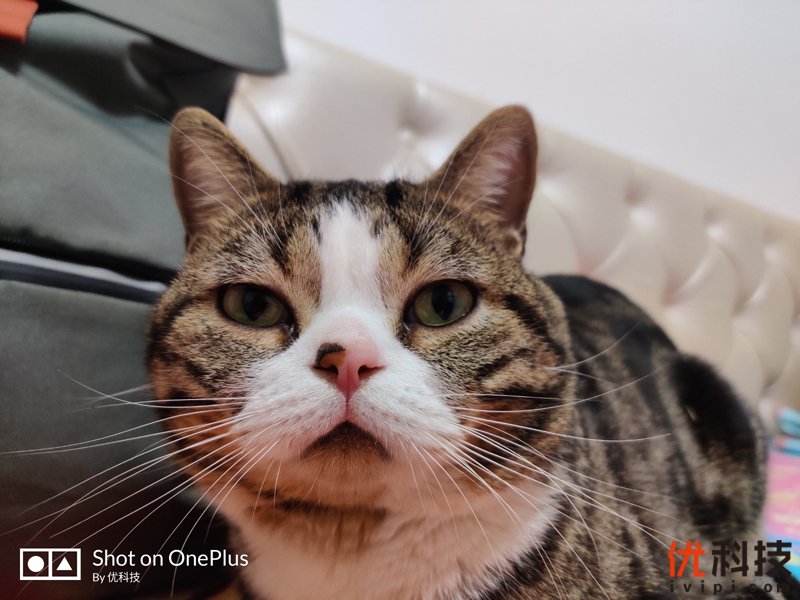 不仅是颜值巅峰，更是性能旗舰 一加7T Pro评测