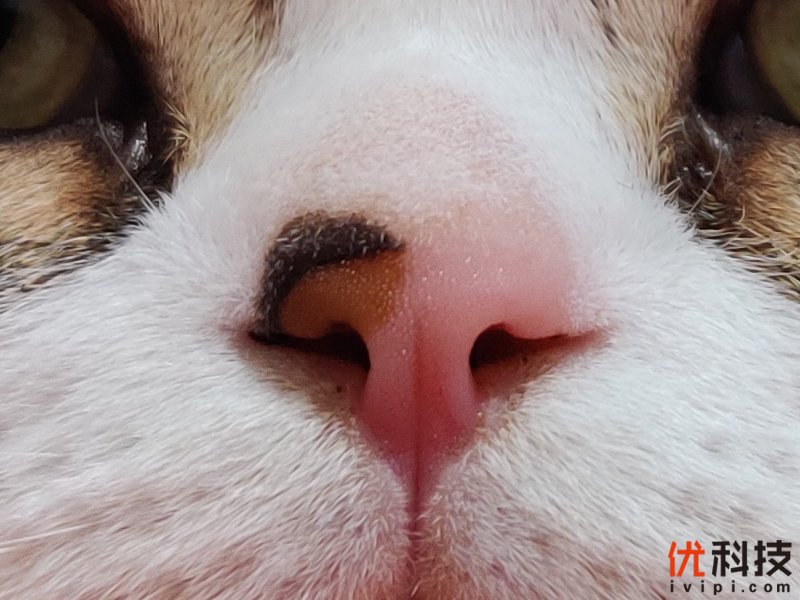 不仅是颜值巅峰，更是性能旗舰 一加7T Pro评测