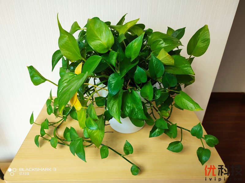 不仅高颜值而且更能打 腾讯黑鲨游戏手机3全面评测