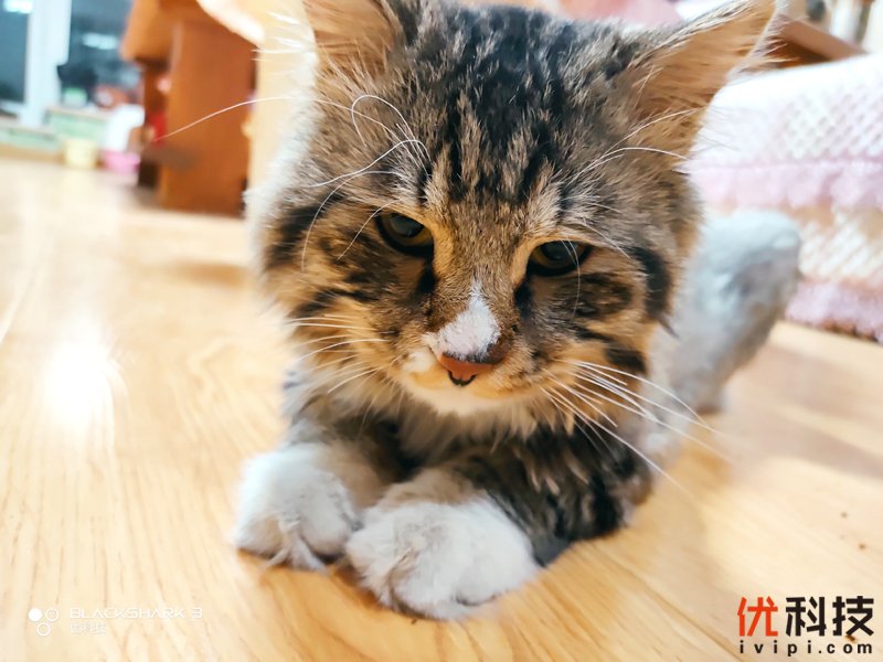 不仅高颜值而且更能打 腾讯黑鲨游戏手机3全面评测