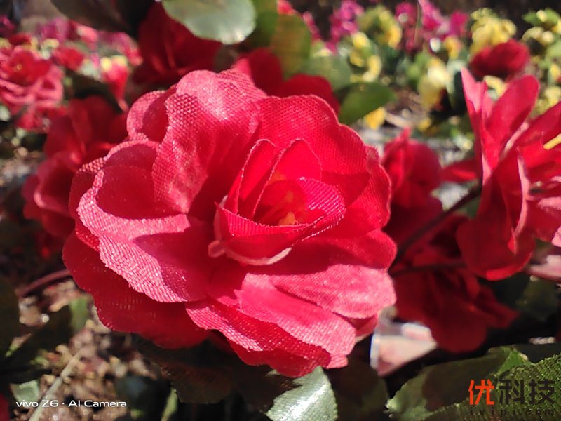 超长续航双模5G手机 vivo Z6优科技评测