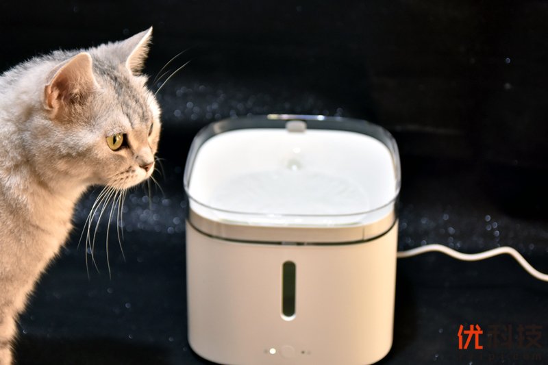 铲屎官必备 小顽智能宠物饮水机开箱体验
