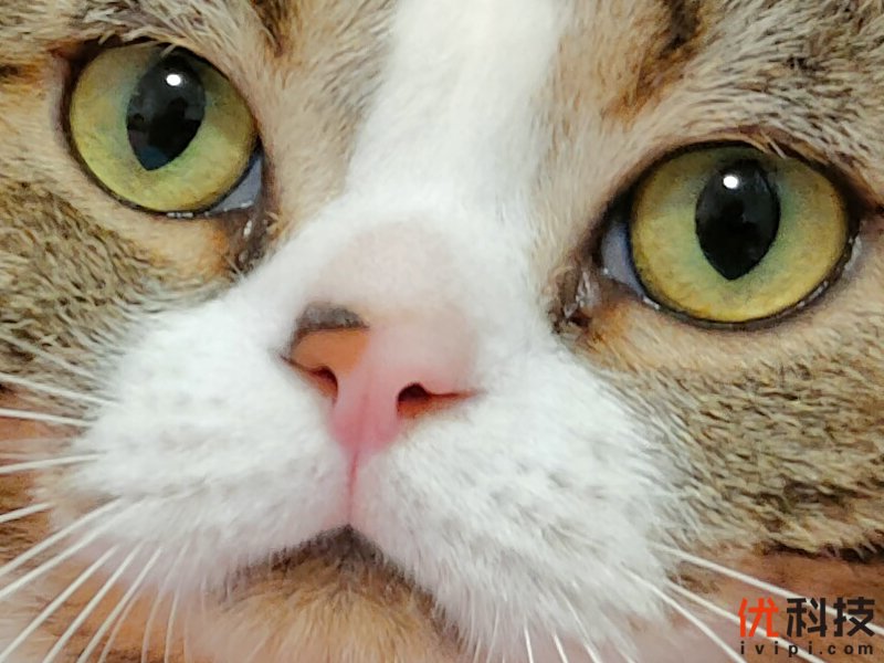 温润如玉性能爆表 realme 真我X50 Pro 5G优科技评测