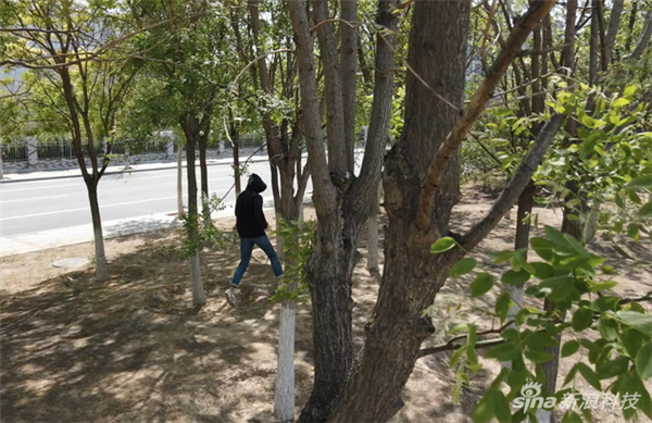 大疆Mavic Air 2测评：拍得更好 飞得更稳 续航大增