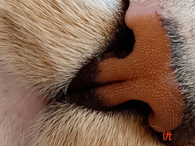 高性价比的完美诠释 iQOO Z1优科技评测