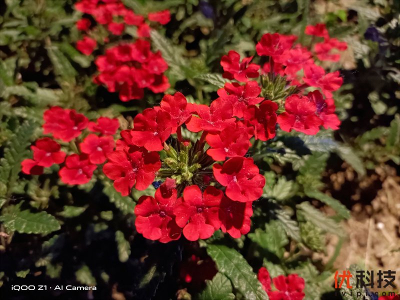 高性价比的完美诠释 iQOO Z1优科技评测