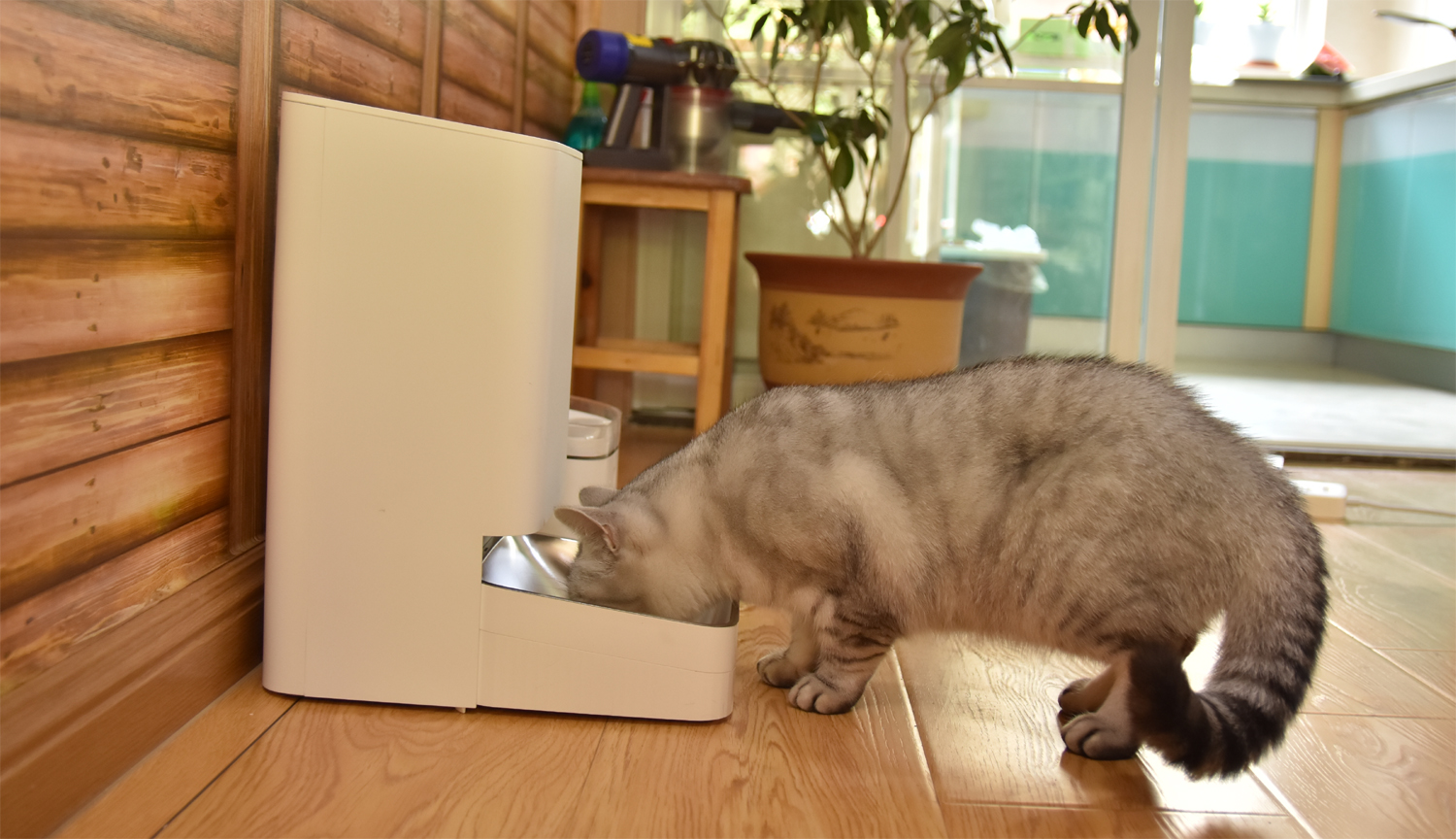 全天候科学饮食管理 小顽智能宠物喂食器优科技体验