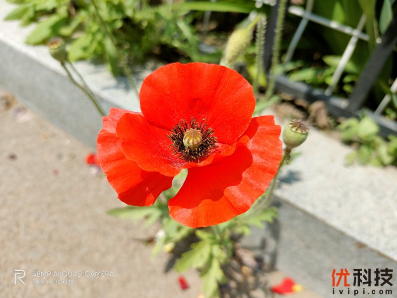 专为真粉玩家打造 realme X50 Pro玩家版优科技评测