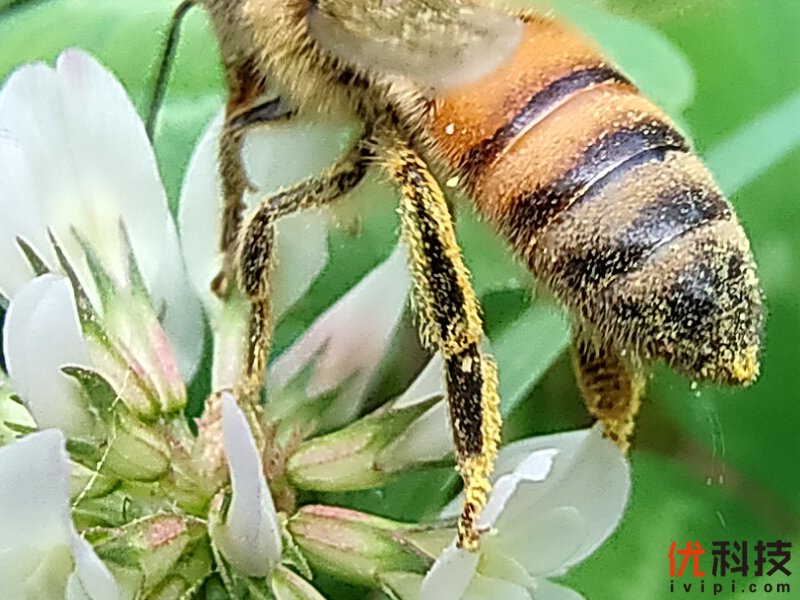 专为真粉玩家打造 realme X50 Pro玩家版优科技评测