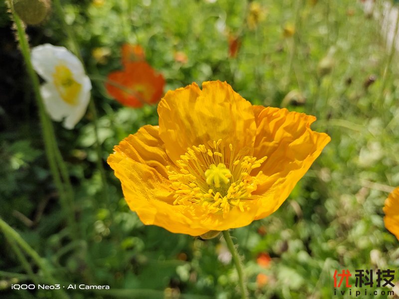 生而为赢 青年旗舰 iQOO Neo3优科技体验评测